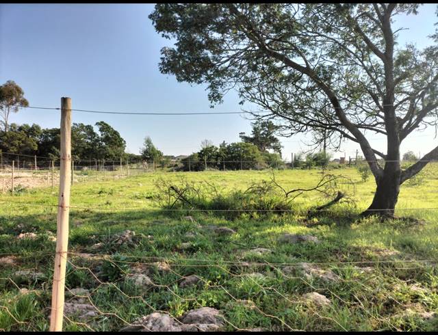 747M² VACANT LAND FOR SALE IN ALBERTINIA
